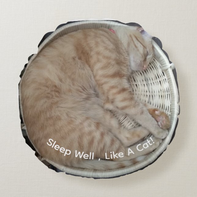 Ginger Cat Round Pouf Rund Kudde (Framsidan)