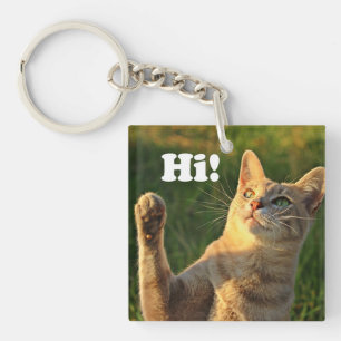 Ginger Cat säger hej!