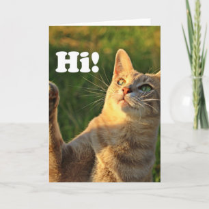Ginger Cat säger hej! Kort
