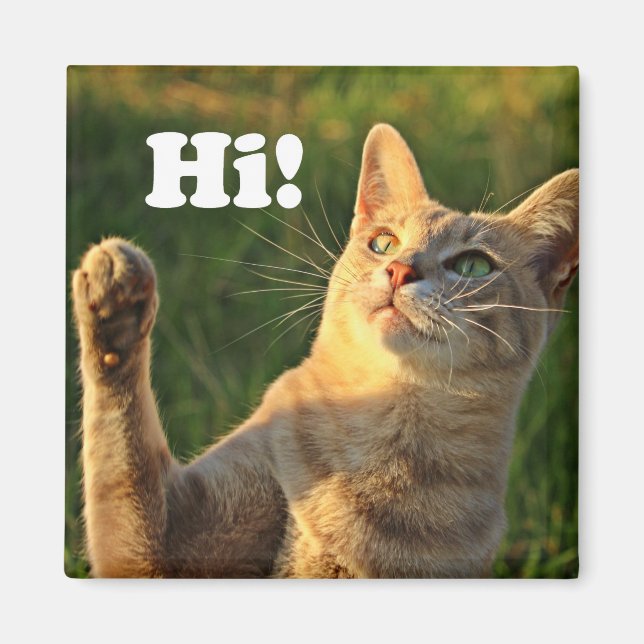 Ginger Cat säger hej! Magnet (Framsidan)