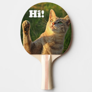 Ginger Cat säger hej! Pingisracket