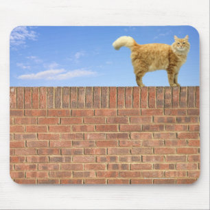 Ginger Cat som står på brickväggen Musmatta