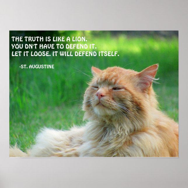 Ginger Cat St. Augustine Truth-offert Poster (Framsidan)