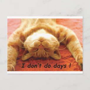 Ginger Cat T-skjorta, jag gör inga dagar Vykort