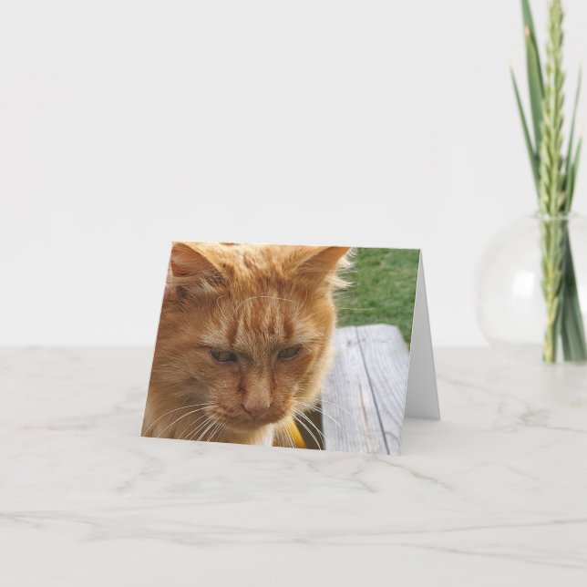 Ginger cat tack kort (Framsida)