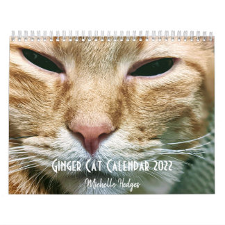 Ginger Cat Wall Calendar 2022 Kalender