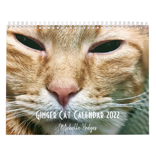 Ginger Cat Wall Calendar 2022 Kalender (Omslag)