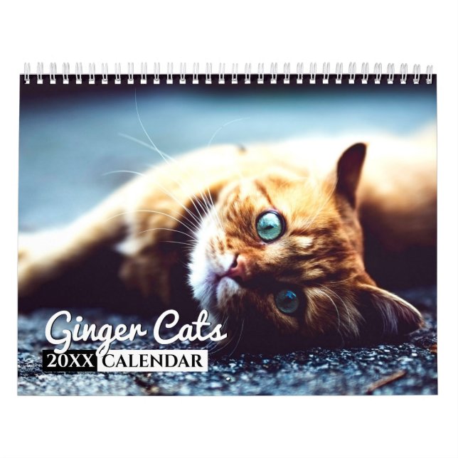 Ginger Cats Photo Wall Calendar Kalender (Omslag)