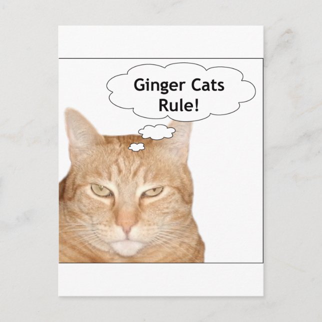 Ginger Cats-regel! Vykort (Framsida)