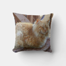Ginger George Kudde