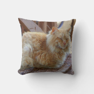 Ginger George Kudde