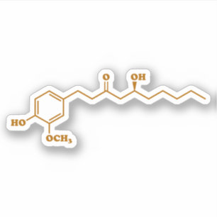 Ginger Gingerol Molecule Chemical Formula Klistermärken