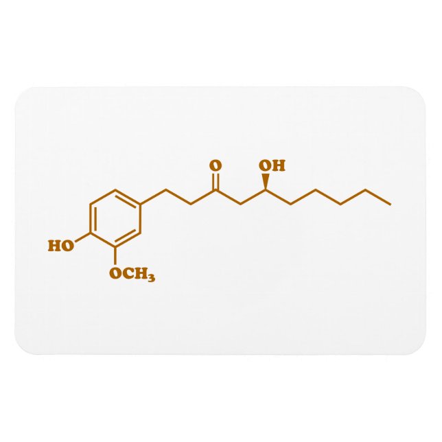 Ginger Gingerol Molecule Chemical Formula Magnet (Horisontell)