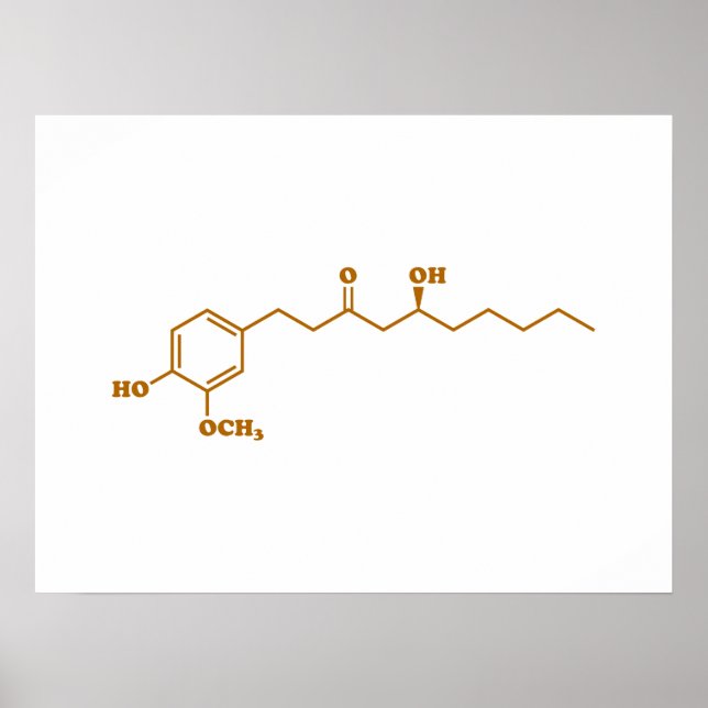 Ginger Gingerol Molecule Chemical Formula Poster (Framsidan)