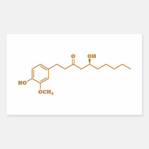 Ginger Gingerol Molecule Chemical Formula Rektangulärt Klistermärke