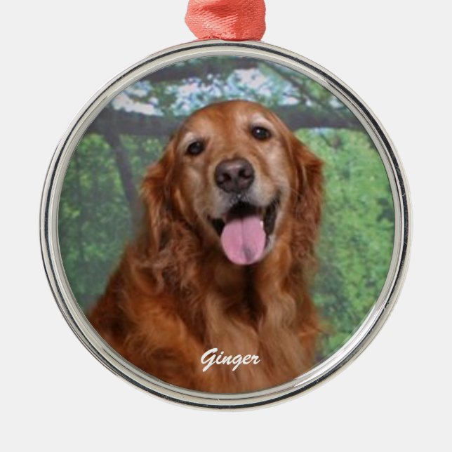 Ginger Golden Retriever Round Ornament, Anpassning Julgransprydnad Metall (Framsidan)