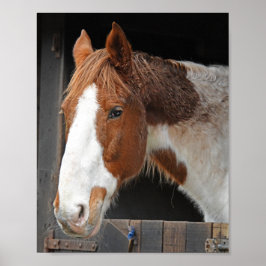 Ginger Horse på Farm Just a Girl som Kärlek Horses Poster