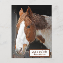 Ginger Horse på Farm Just a Girl som Kärlek Horses Vykort