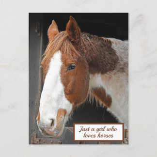Ginger Horse på Farm Just a Girl som Kärlek Horses Vykort