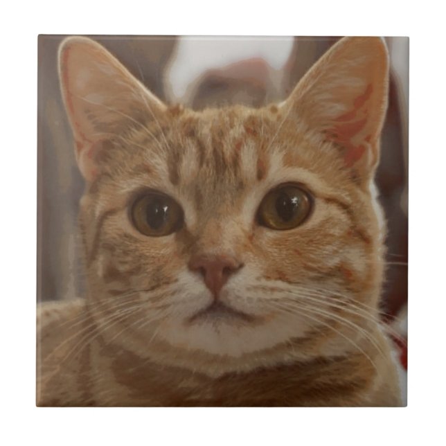 Ginger-kattbrun öga  kakelplatta (Framsidan)