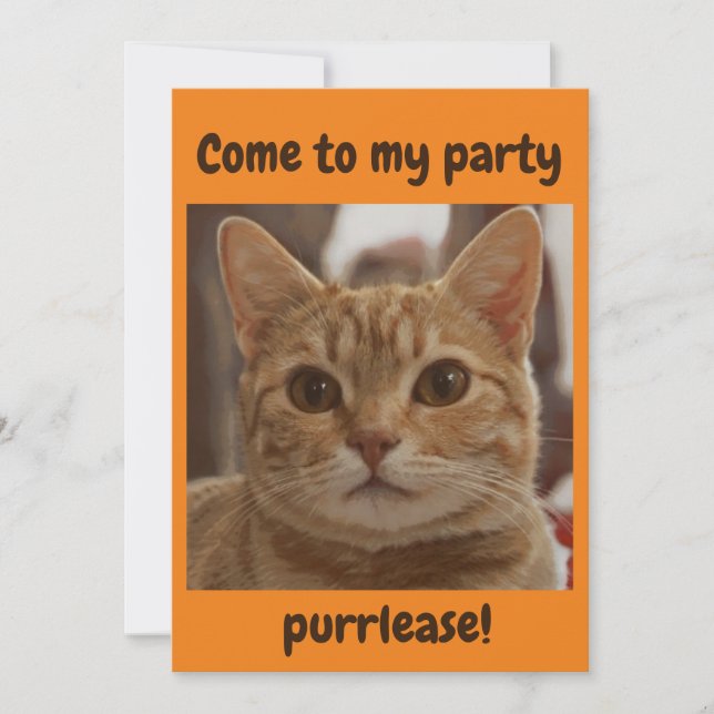 Ginger-kattbrun ögon party purrlease orange inbjudningar (Framsida)