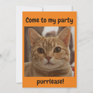 Ginger-kattbrun ögon party purrlease orange inbjudningar