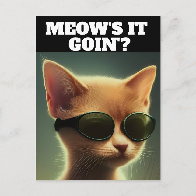 GINGER KITTEN CAT ART SUNGLASSES HEJ Postkort Vykort (Framsida)