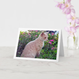 Ginger Kitten i Blommigt Kort