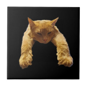 Ginger Lazy Cat, Ceramic Tile Kakelplatta