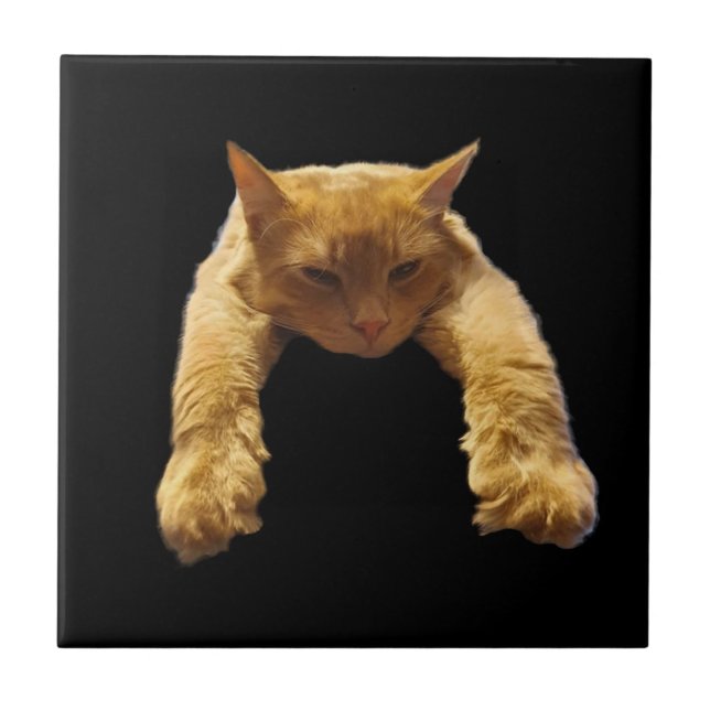 Ginger Lazy Cat, Ceramic Tile Kakelplatta (Framsidan)