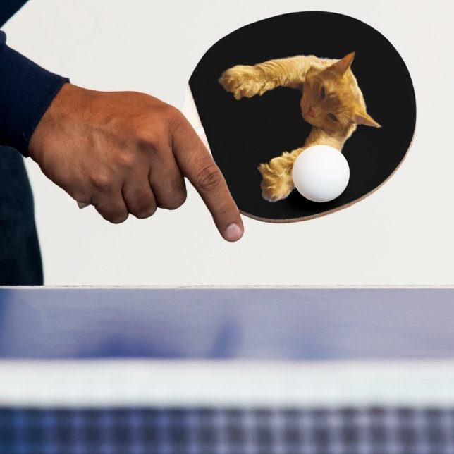 Ginger Lazy Cat, Ping Pong Paddle Pingisracket (Insitu)