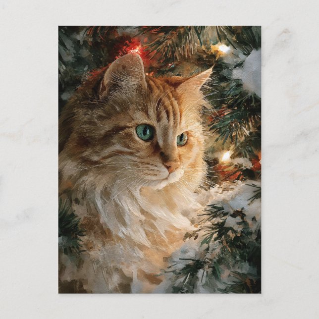 Ginger Maine Coon jul Vykort (Framsida)