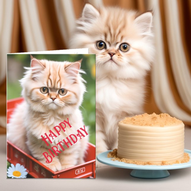 Ginger och Cream Tabby katt i Red Wagon Birthday Kort (Skapare uppladdad)