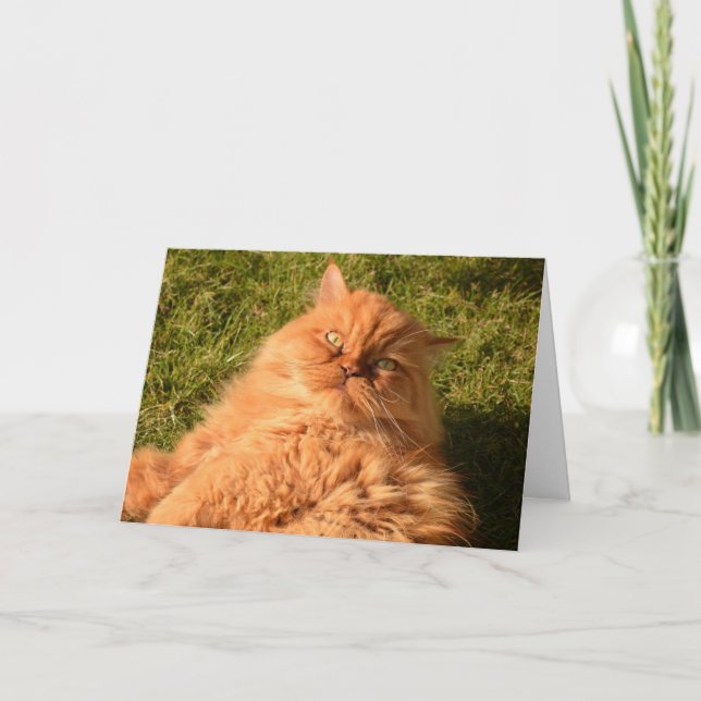 GINGER RED CAT"CHILL"-HEJ VARJE TILLFÄLLE-KORT KORT (Framsida)