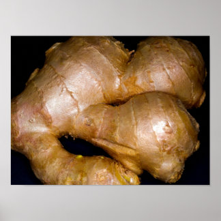 Ginger-roten poster