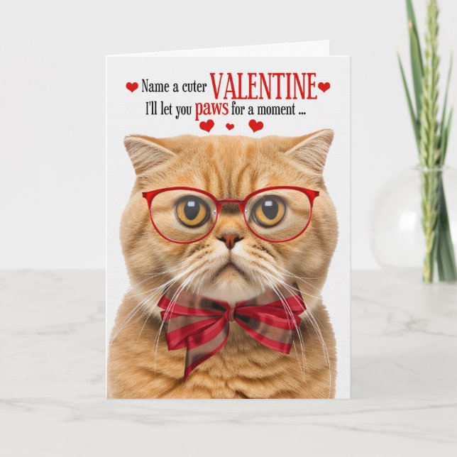 Ginger Scottish Fold Cat Valentine Kattdjur Humor Helgkort (Framsida)