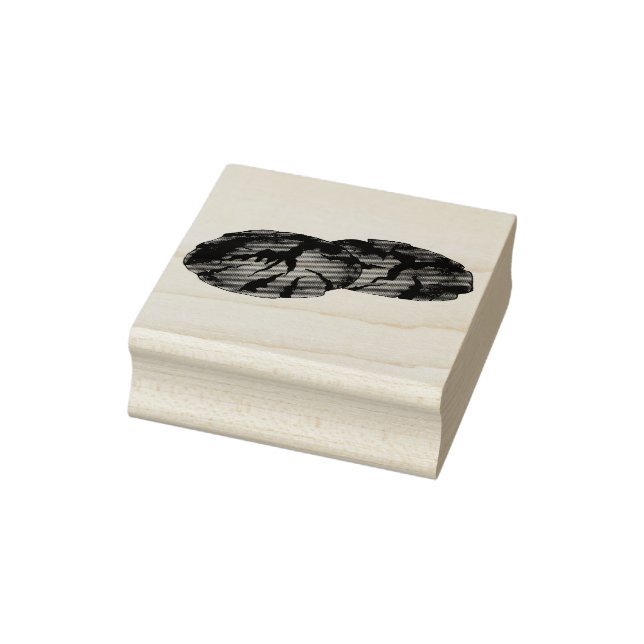 Ginger Snaps Gingersnap Biscuit Ginger Nöt Cookies Stämpel (Stämpel)