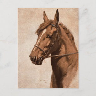 Ginger Sorrel Horse Black Beauty bok Kemp-Welch Vykort