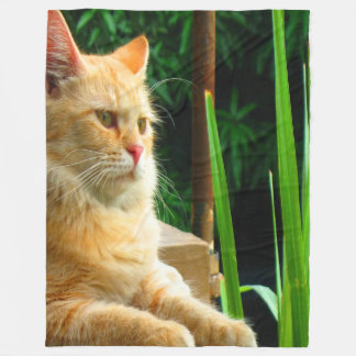 Ginger Tabby katt Meditation Fleecefilt
