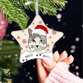 Ginger White Cat Personlig Hand Teckning Julgransprydnad Keramik