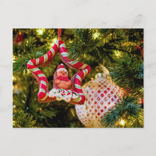 Gingerbröd Jul - Ornament vykort (Framsida)