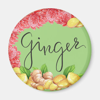 Gingerkrydda Magnet