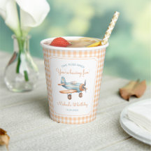 Gingham Time Flies Airplane First Birthday