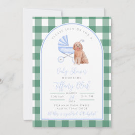 Ginghamkryssad pojke baby shower-inbjudan inbjudningar