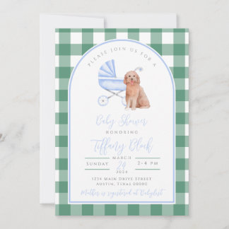 Ginghamkryssad pojke baby shower-inbjudan inbjudningar