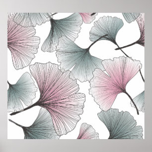Gingko biloba handdragen. poster