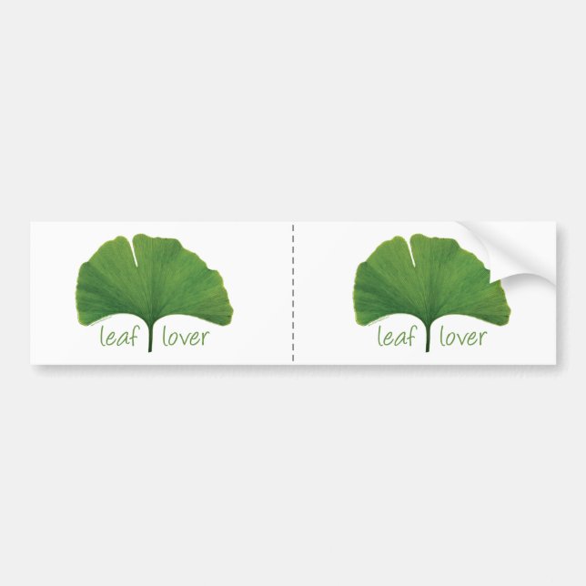 Gingko Löv Bildekal (Framsidan)