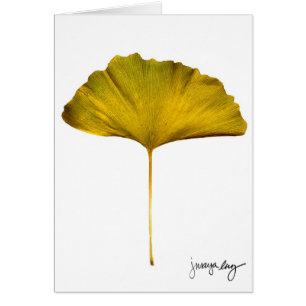 "Gingko" vid J. Maya Luz Hälsningskort