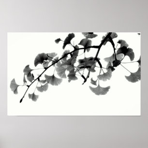 GingkoBiloba lövverk i svartvitt Poster