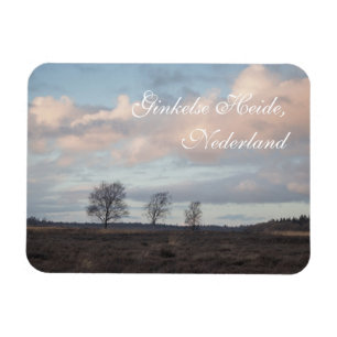 Ginkel Heath, Ede, Nederländerna Landskap Magnet